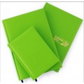 Телефонная книга Economix, A5, Samba, салатовая