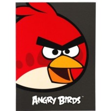 Блокнот Cool for school, А5, 48 л., серия "Angry Birds", термобиндер, вертикальная проклейка, черный