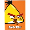 Блокнот Cool for school, А5, 48 л., серия "Angry Birds", термобиндер, вертикальная проклейка, оранжевый