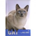 Блокнот Cool for school "Wild Spirit" А6, 80 л., шитье на нитку, "Кошка"
