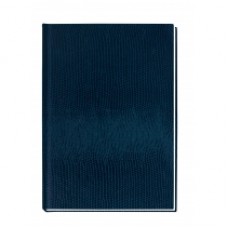 Блокнот Economix "Змея", А6, 80 л., шитье на нитку, синий