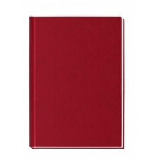 Блокнот Economix "Клетка", А6, 80 л., шитье на нитку, красный