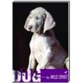 Блокнот Cool for school "Wild Spirit" А6, 80 л., шитье на нитку, "Щенок"