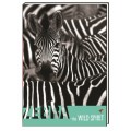 Блокнот Cool for school "Wild Spirit" А6, 80 л., шитье на нитку, "Зебра"