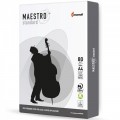 Бумага офисная Maestro Standard, А4, 80г/м2, класс C, 500л
