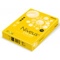Бумага офисная цветная Niveus, А4, 80г/м2, интенсив горчичная, IG50, 500л
