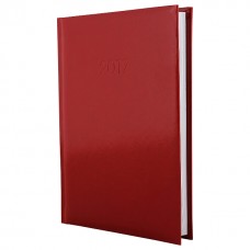 Ежедневник недатированный Economix FLASH, А5, 320 л., балакрон, красный