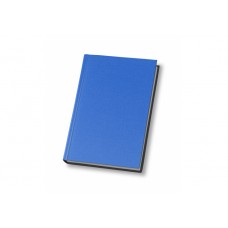 Ежедневник недатированный Economix Capys, А5, 320 л., балакрон, синий