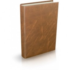 Ежедневник недатированный Economix Venulla, А5, 320 л., балакрон, светло-коричневый