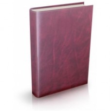 Ежедневник недатированный Economix Venulla, А6, 320 л., балакрон, бордовый