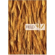 Блокнот Optima "Рисунки природы" Field, А4, 96 л., линия