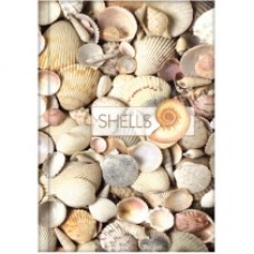 Блокнот Optima "Рисунки природы" Shells, А4, 96 л., линия