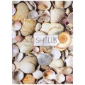 Блокнот Optima "Рисунки природы" Shells, А4, 96 л.