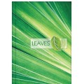 Блокнот Optima "Рисунки природы" Leaves, А4, 96 л., линия