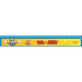 Линейка пластиковая 20 см Cool for school "Tom and Jerry"