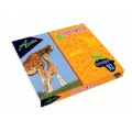 Пластилин Economix "Africa", 10 цветов, 200г, картон