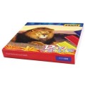 Пластилин Economix "Africa", 12 цветов, 240г, картон