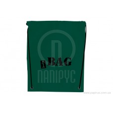 Сумка для обуви Economix "iBag", зеленый