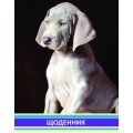 Дневник школьный Cool for school "Щенок", 48 л.