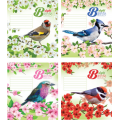 Тетрадь Мрії збуваються "Bird" 24 листа, клетка