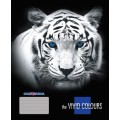 Тетрадь Cool for school "Vivid Сolors", 96 листов, клетка