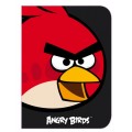 Папка-пенал пластиковая Cool for school "Angry Birds", В5, на молнии