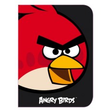 Папка-пенал пластиковая Cool for school "Angry Birds", В5, на молнии