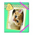 Папка пластиковая Cool for school "My funny kitty", В5, на резинках