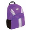 Ранец дошкольный Cool for school "Vyshyvanka Classic Violet ", 11"